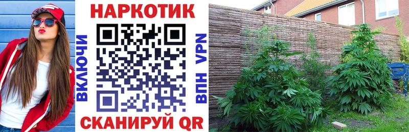 Названия наркотиков Кольчугино Кокаин Каннабис А ПВП ГАШ АМФ Меф мяу мяу