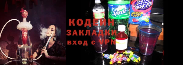 трава Няндома