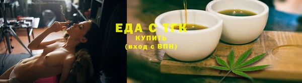 мдпв Ельня