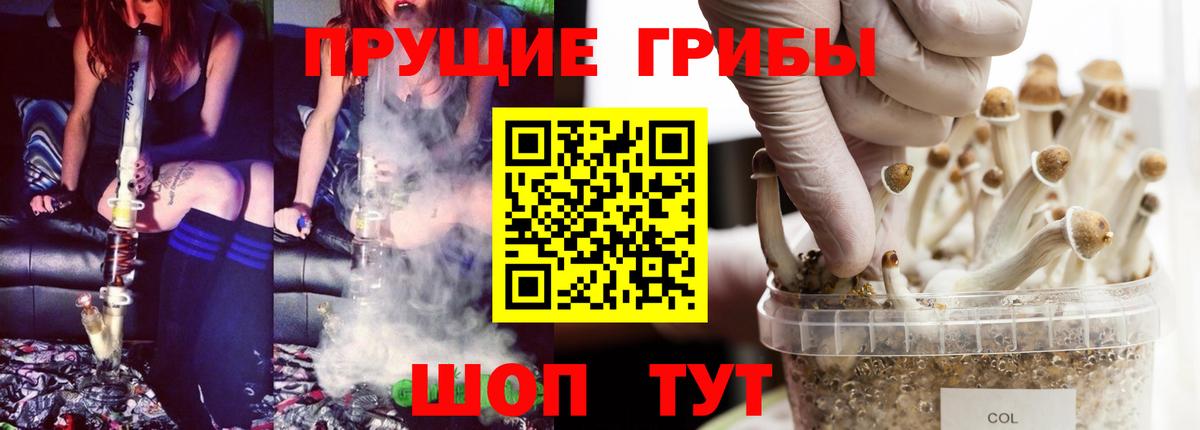 Кольчугино  Псилоцибиновые грибы MAGIC MUSHROOMS  Вход с VPN  Галлюциногенные грибы MAGIC MUSHROOMS 